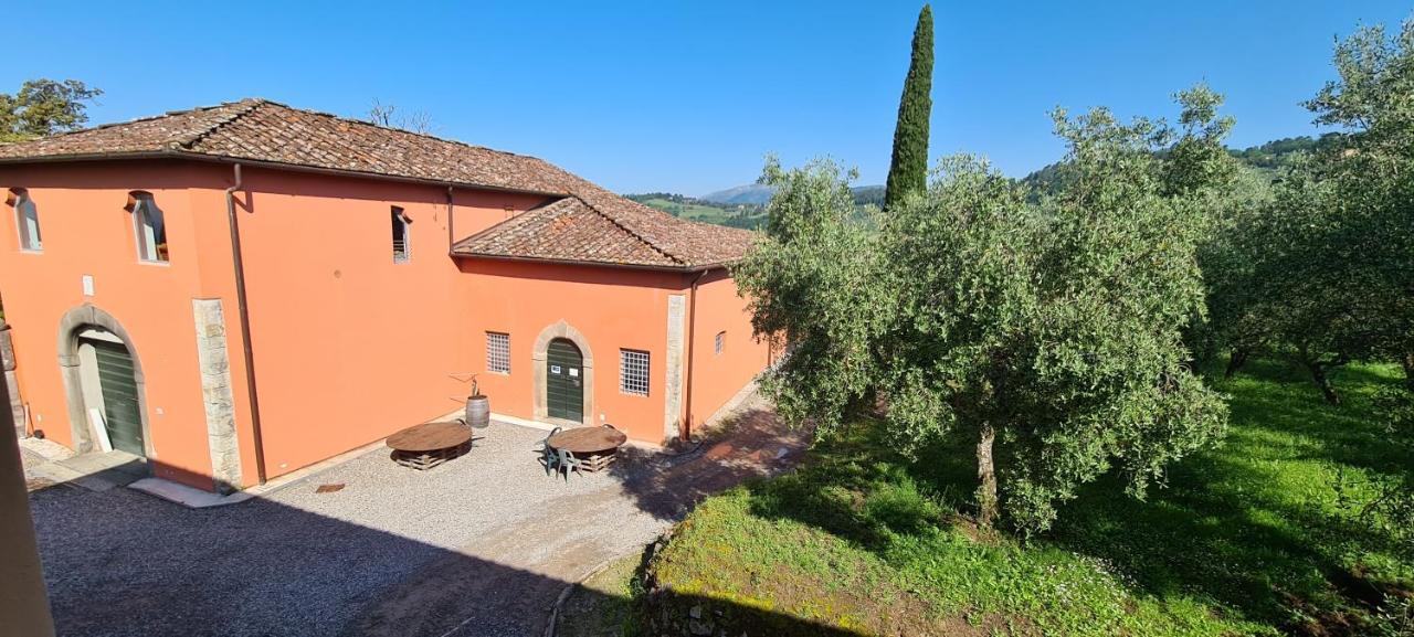 Agriturismo Villa Sardini Lucca Exterior foto
