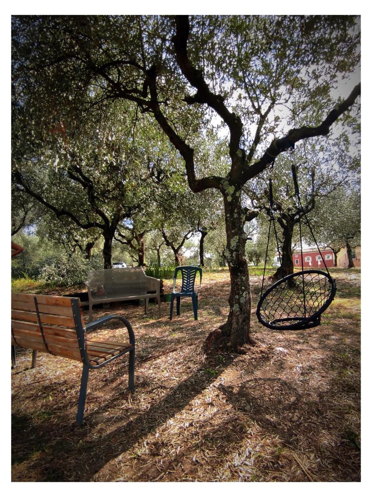 Agriturismo Villa Sardini Lucca Exterior foto