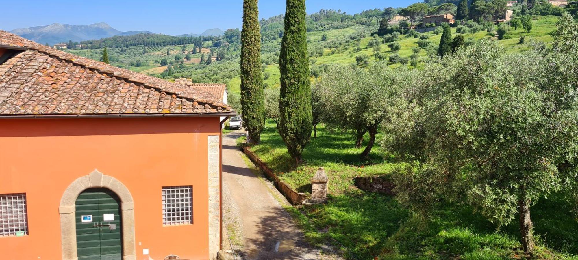 Agriturismo Villa Sardini Lucca Exterior foto